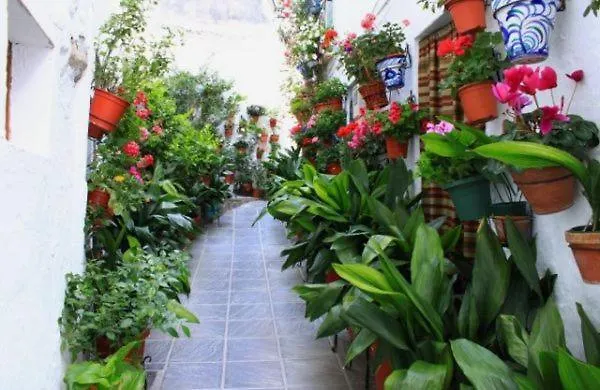 Apartamento La Casa De La Plaza Güéjar Sierra 0*,  España